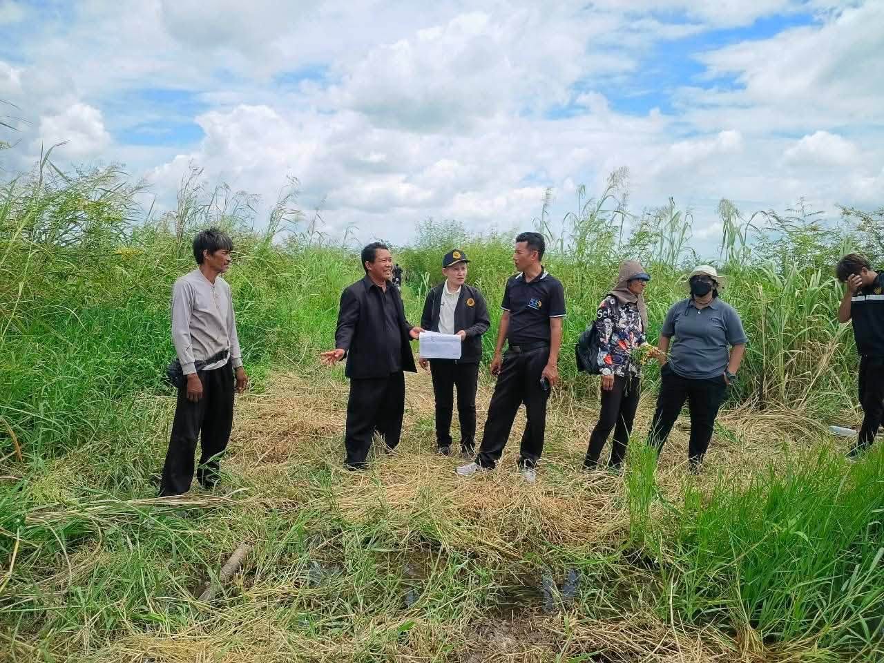 title - ลงพื้นที่สำรวจความเสียหายจากน้ำท่วมขังในแปลงเกษตรกรรม อำเภอไชโย จังหวัดอ่างทอง